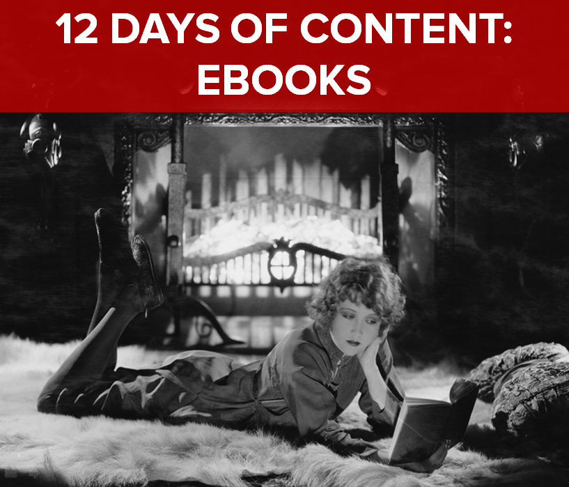 For the 12 days of content, we are featuring ebooks: the longer and heavily formatted relative of white papers.